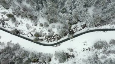 4k Hava Görüntüsü Ormandaki Karlı Nehrin Üzerinde Yükseliyor