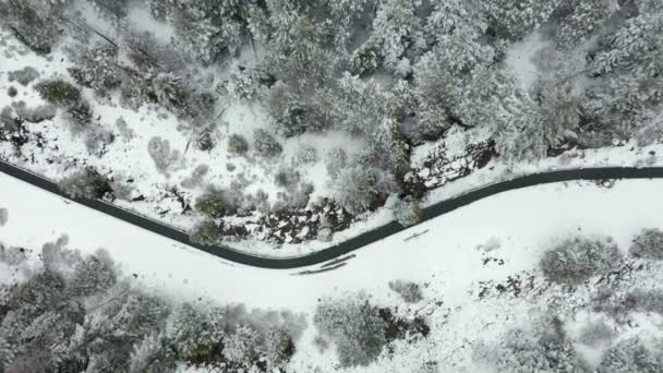 4k Vista aérea Ascendente Por encima de un río en la nieve en el bosque — Vídeo de stock