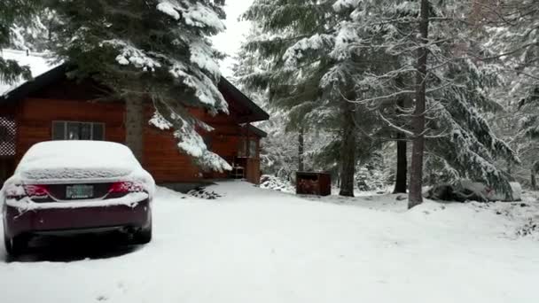 Vista 4k Acercándose a una cabina rodeada de árboles nevados y un coche en la parte delantera — Vídeo de stock