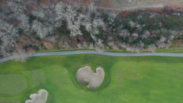 Vista aérea de 4k a lo largo de la frontera de un campo de golf junto a árboles marrones verdes — Vídeo de stock