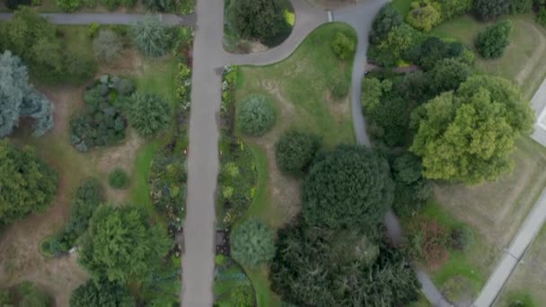 Vista vertical aérea de 4k siguiendo un rastro con los arbustos alrededor en los jardines de Kew — Vídeos de Stock