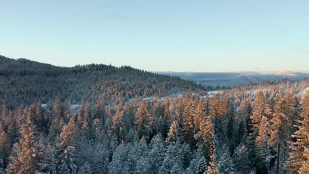 以高山为背景，俯瞰雪地的山顶 — 图库视频影像