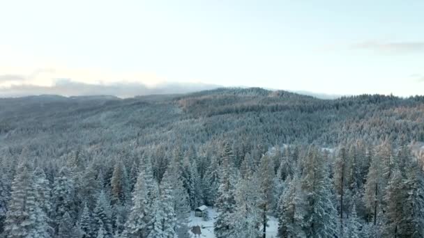 4k Vista aérea Volando sobre el bosque nevado para revelar un valle en la cordillera — Vídeo de stock