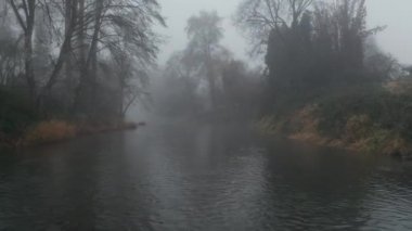 Tenebrous Nehri boyunca hareket eden 4k Hava Çekimi Ağaçlar ve Yoğun Sis ile çevrili