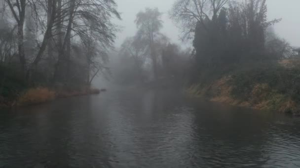 4k plano aéreo que se mueve a lo largo del río tenebroso rodeado de árboles y niebla pesada — Vídeo de stock