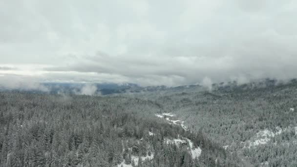 4k plano aéreo volando horizontalmente a través de un valle rodeado de árboles nevados — Vídeo de stock