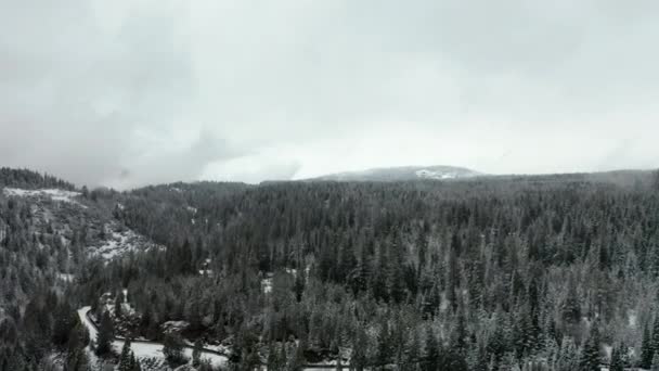 4k plano aéreo volando en una tormenta de nieve sobre el bosque con grandes montañas como fondo — Vídeo de stock