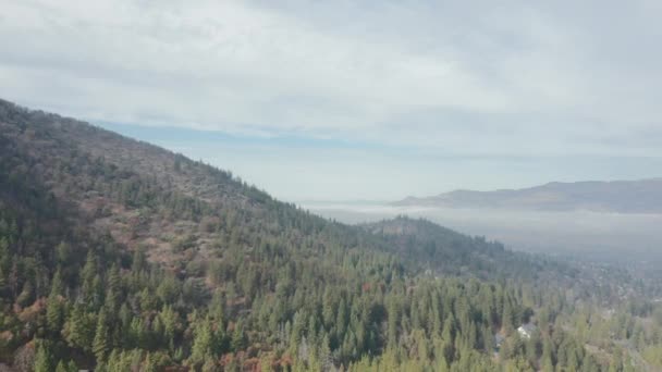 Disparo aéreo de 4k volando alto sobre árboles hacia las montañas y una manta de niebla — Vídeo de stock