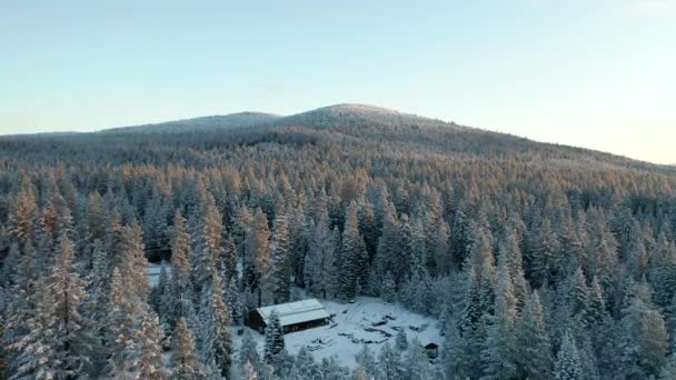 Disparo aéreo de 4k que vuela lejos de la cabaña en la colina en el bosque nevado en un día claro — Vídeo de stock