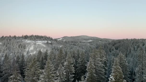 Horizontaal uitzicht over het bos gericht op zonsopgang over de heuvels — Stockvideo