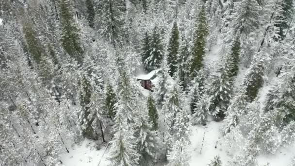 Vista aérea 4k circulando em torno de uma cabine cercada por árvores cobertas de neve — Vídeo de Stock