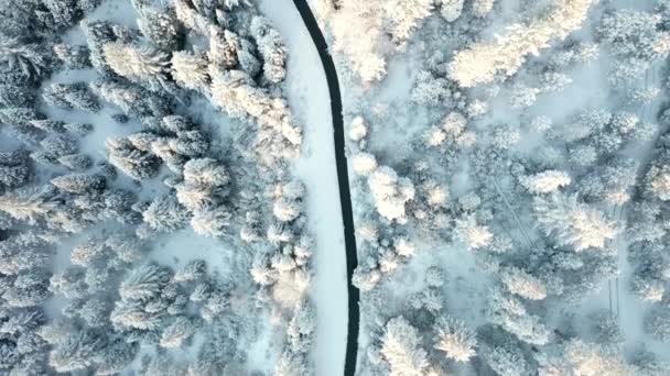 Vista verticale a seguito di un canale di irrigazione nella neve circondato da alberi — Video Stock