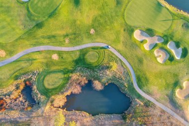 Sonbahar ormanının yanındaki yeşil bir tarlanın üstünde.