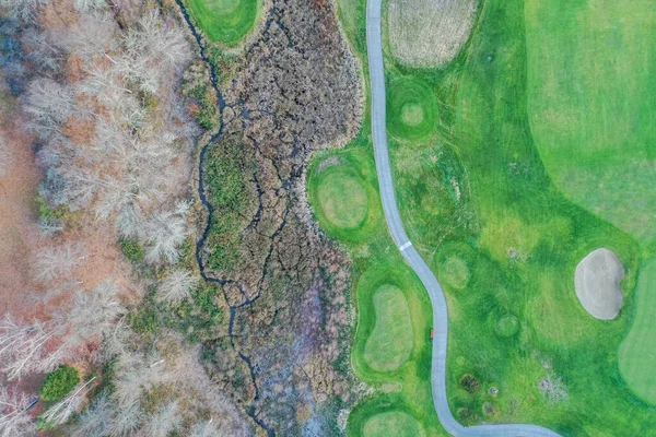 Above view of a green field next to an autumn forest — Foto de Stock