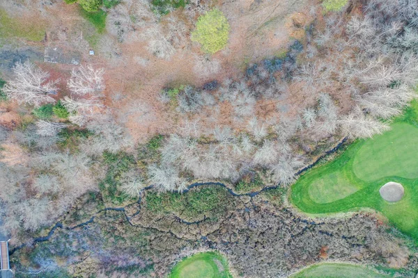 Top view of dry small forest and green field — Stock Photo, Image