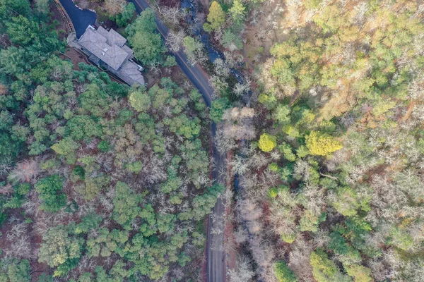 Boven zicht op een weg midden in een herfstbos — Stockfoto