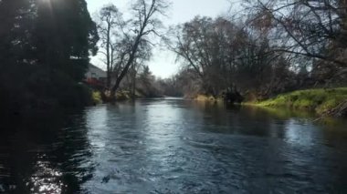 4k Havadan Düşük Çekim Işıl ışıl bir günde Oregon 'da nehir boyunca ilerlerken