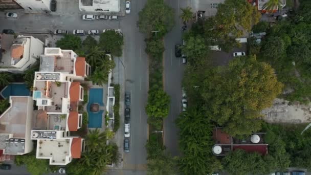 Vertikale 4K-Luftaufnahme, die ein Gebäude und einen Park mit Verkehr auf den Straßen zeigt — Stockvideo