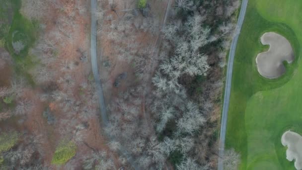 View Following Defunct Road Entouré d'arbres secs, à côté d'un parcours de golf — Video