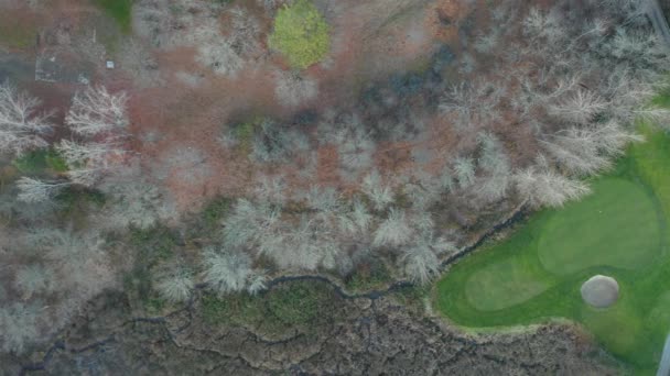 Vista aérea de 4k sobre un bosque con árboles marrones junto a un campo de golf en Oregon — Vídeo de stock