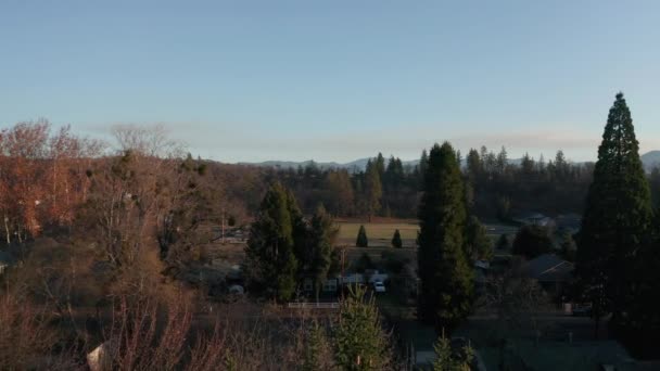 4k Légi lassú mozgás a fák felett egy gyönyörű erdő város, mint a háttér — Stock videók