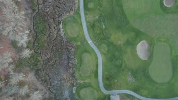 4k Vista aerea su un campo da golf e il gruppo di alberi marroni accanto ad esso — Video Stock