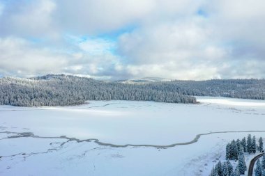Huzurlu karlı orman ve donmuş göl Bulutlu bir gökyüzünün altında