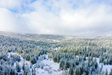 Hafif bulutlu mavi gökyüzünün altındaki huzurlu karlı orman