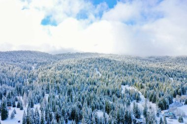 Hafif bulutlu mavi gökyüzünün altındaki huzurlu karlı orman