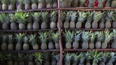 Meksika 'da ananas dolu bir rafa ananas koyan kadının videosu.
