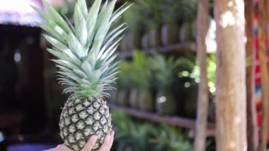Arka plan olarak ananas dolu bir rafla Ananas Tutmak