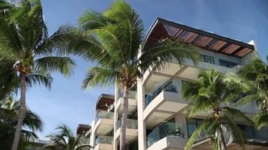 Güneşli bir günde Meksika 'daki tatil köyünün manzarası ile Palm Tree' nin etrafında daireler çizerken çekildi.