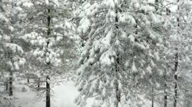 4k Hava Görüntüsü Karlı Ormana Park Edilmiş Arabalardan Yükseliyor