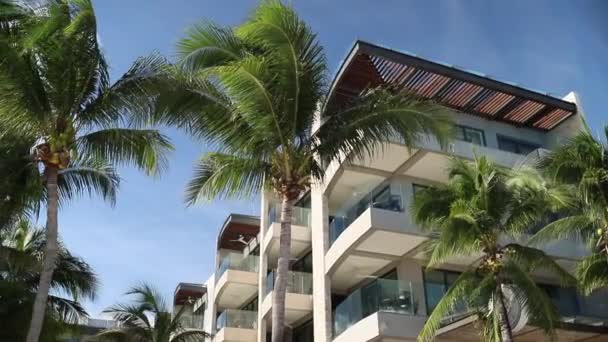 Tiro circulando em torno da palmeira com vista para o resort no México em um dia ensolarado — Vídeo de Stock