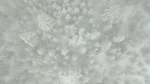 4k Letecký pohled sestupující mlhou nad zasněženou chatou obklopenou stromy — Stock video