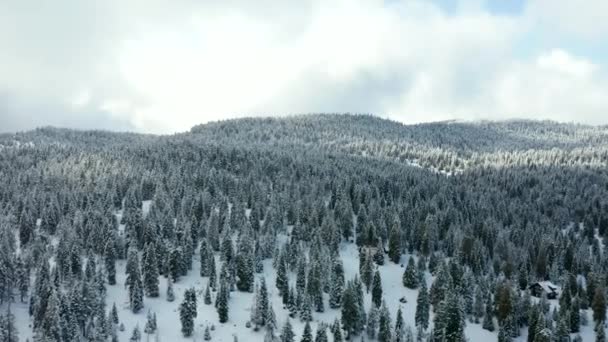 4k Widok z lotu ptaka Latanie nad Snowy Forest W kierunku majestatycznych gór — Wideo stockowe