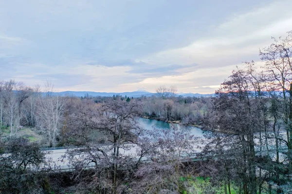 Alberi senza foglie che circondano un ponte e un fiume — Foto Stock