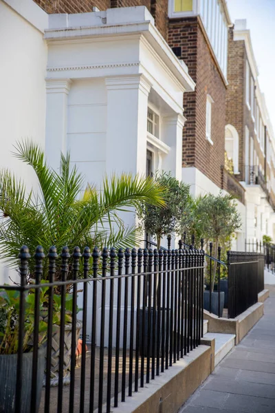 Apartamento britânico branco com colunas e plantas decorando a entrada — Fotografia de Stock