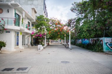 Bulutlu bir gökyüzünün altında ağaçlarla çevrili bir sokak.