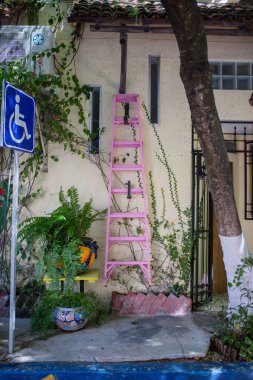 Bitkilerle ve ağaçlarla çevrili bir duvarda asılı duran pembe merdiven.