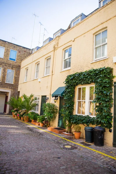 창문 밖에 식물이 있는 다채 로운 영국 가옥들이 줄지어 있다 — 스톡 사진