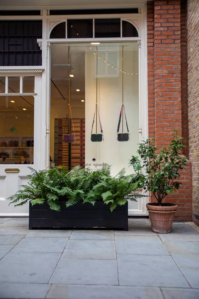 Boutique bolsa de Chelsea, Londres, com plantas fora da janela — Fotografia de Stock