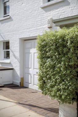 Beyaz tuğladan bir binanın girişindeki çalılık.