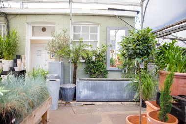 Bir mağazanın içinde bitkilerin ve küçük ağaçların görüntüsü