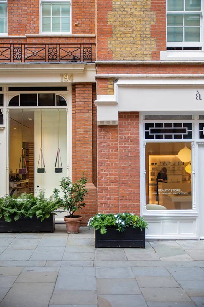 Boutique bolsa de Chelsea, Londres, com plantas fora da janela — Fotografia de Stock