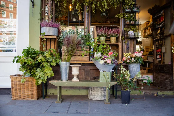 Bloemen en planten weergegeven buiten groene Britse winkel — Stockfoto