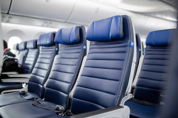 Dark blue passenger airplane seats in the cabin.