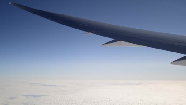 Airplane wing flying over a peaceful bed of clouds — Stock Video