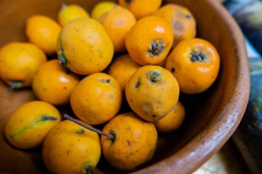 El yapımı kil kasede taze Meksika dikenleri