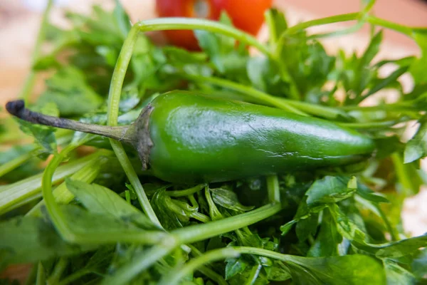 Groene chili peper en koriander op een houten tafel — Stockfoto